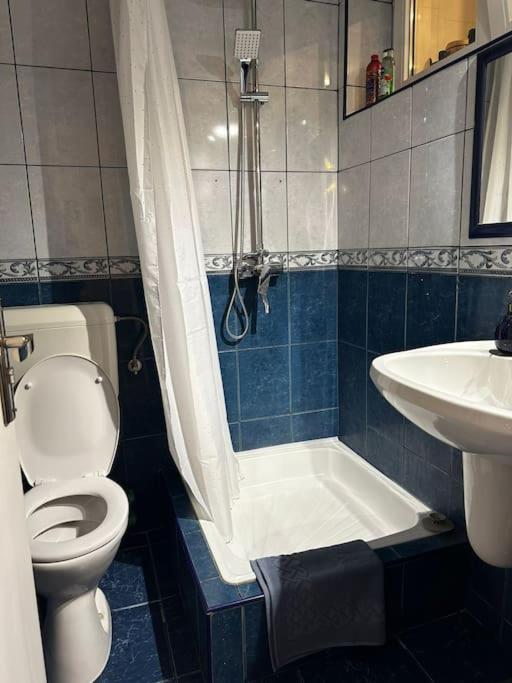 Studio Cozy Piata Victoriei Lejlighed Bukarest Eksteriør billede